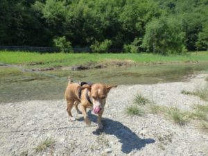 Fonti di Poiano - Appennino Reggiano