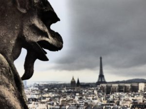 Parigi a piedi - Vista da Notre Dame