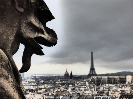 Parigi dall'alto di Notre Dame