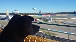 Biagio in pista a Hockenheim