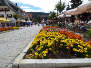 Centro sotico Lago Titisee