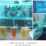 Absolute icebar stocholm