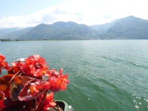 Lago d'iseo con il cane - Pisogne