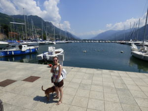 Lago d'iseo con il cane - Lovere