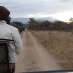 Safari in Sudafrica – la vedetta