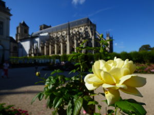 Città della Loira - cattedrale di Bourges