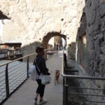 Aosta con il cane – Porta pretoria