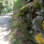 Aosta con il cane – Trekking sulla Pila