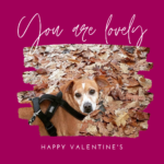 You Are Lovely Photo Valentine’s Instagram Post