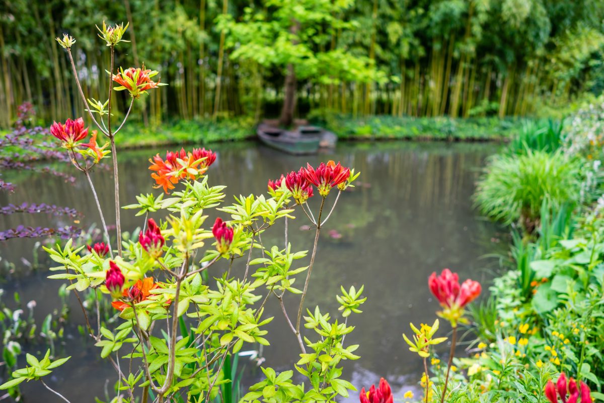 Giverny giardino di Monet