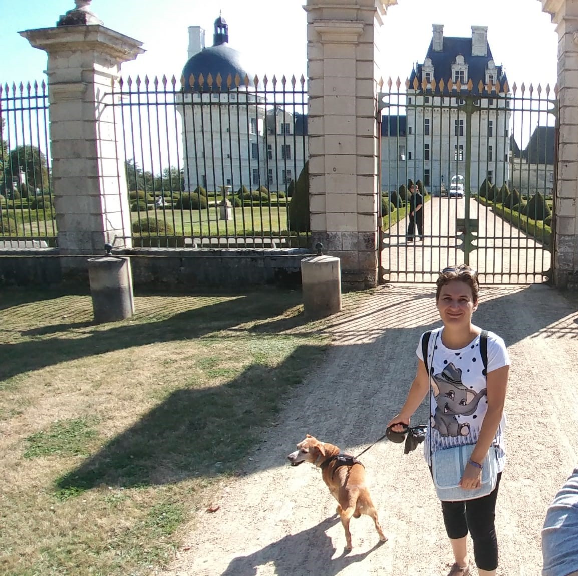Giardini castello Chenonceau con cane