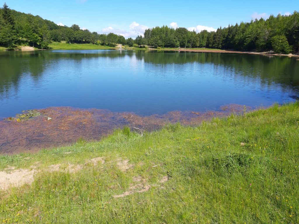 Lago Calamone