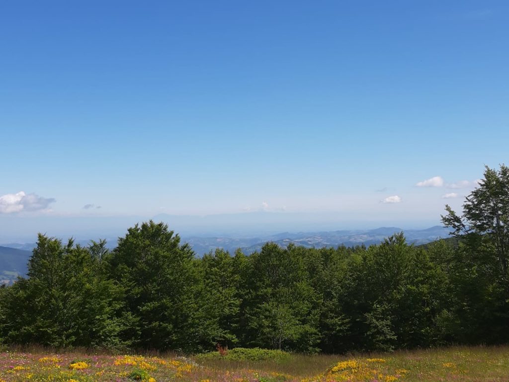 Panorama dal monte ventasso