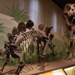 Scheletri-dinosauri-museo-storia-naturale-milano